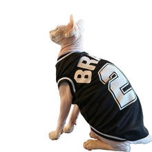 Sphynx cat wearing a black BRAVE 23 sports-style pet jersey with bold white lettering and striped trim