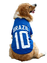 Golden Retriever wearing a blue Brazil 10 football-style dog jersey with white lettering and trim