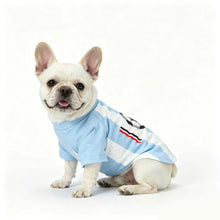 French Bulldog wearing a light blue and white soccer-style dog shirt with red and black stripe detailing