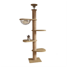 cat tower with white background
