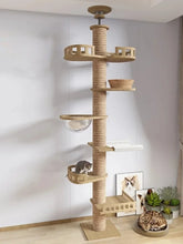 cat playing with its tower indoors