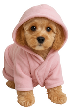 Small dog wearing a pink hooded robe on a white background
