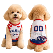 Small curly-haired dog wearing a white Croatia 00 football-style jersey with red and blue trim