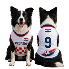 Border Collie wearing a white Croatia 9 football-style dog jersey with red and blue trim and checkered detailing