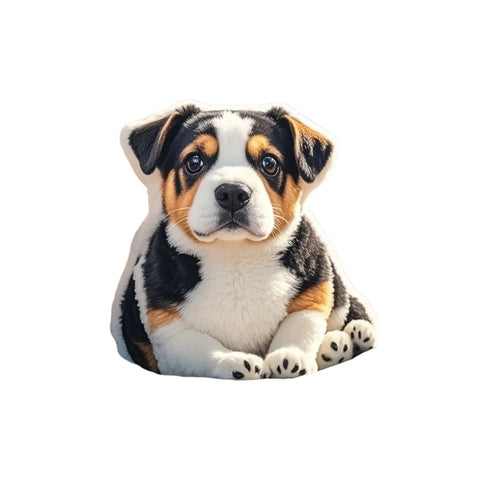 Customisable Plush Pillows
