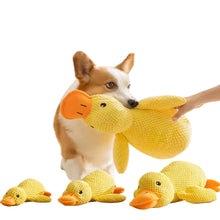 Dog holding a yellow duck plush dog toy, with three toy sizes displayed below on a white background