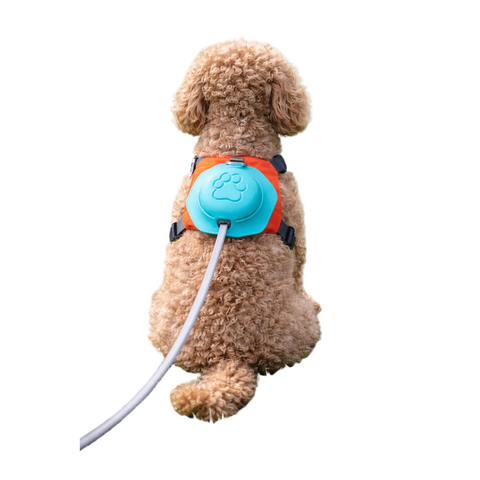 2-In-1 Dog Harness With Retractable Leash