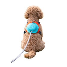 2-In-1 Dog Harness With Retractable Leash