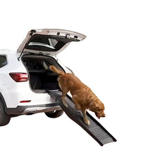 Golden Retriever using a black foldable dog ramp to get in and out of the open boot of an SUV