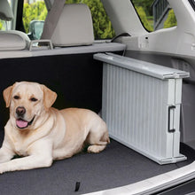 Labrador resting in a car boot beside a folded portable dog ramp for vehicle access