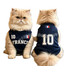 Persian cat wearing a navy France 10 football-style pet jersey with French flag detailing