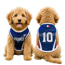 Cavoodle wearing a navy France 10 football-style dog jersey with white trim and red and blue side detailing