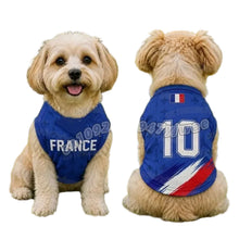 Small cream dog wearing a blue France 10 football-style dog jersey with red, white and blue detailing
