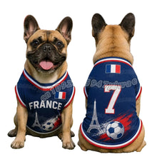 French Bulldog wearing a navy France 7 football-style dog jersey with red and white trim, Eiffel Tower and soccer ball graphics