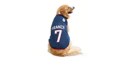 Golden Retriever wearing a navy France 7 football-style dog jersey with red trim