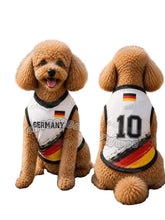 Brown poodle wearing a white Germany 10 football-style dog jersey with black, red and gold detailing