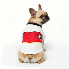 French Bulldog wearing a white Germany-style football dog shirt with red, black and yellow detailing