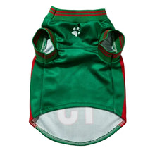 Front view of a green Mexico 15 football-style dog jersey with red side panels, striped trim and white paw print