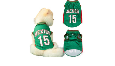 Small dog wearing a green Mexico 15 football-style jersey, shown with front and back views of the shirt