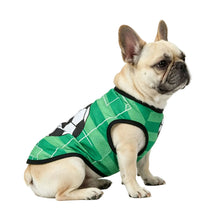French Bulldog wearing a green mesh soccer-style dog jersey with black trim and football graphics