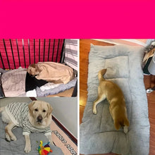 Grey plush dog bed shown with large dogs resting comfortably at home and inside a crate