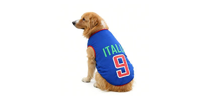 Golden Retriever wearing a blue Italy 9 football-style dog jersey with green and red detailing