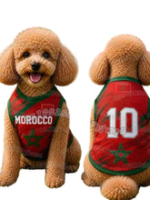Brown poodle wearing a red and green Morocco 10 football-style dog jersey with star emblem and green trim