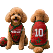 Brown poodle wearing a red and green Morocco 10 football-style dog jersey beside a matching soccer ball