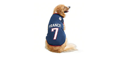 Golden Retriever wearing a navy France 7 football-style dog shirt with red trim