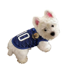 White Westie wearing a navy number 10 soccer-style dog jersey with a sports emblem and blue trim