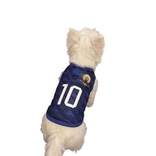 Small white dog wearing a navy number 10 soccer-style dog jersey with a sports emblem on the back