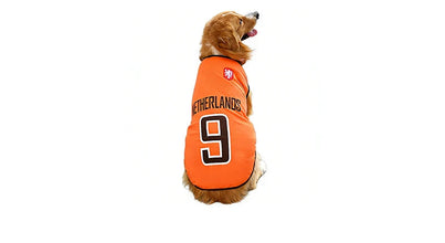 Golden Retriever wearing an orange Netherlands 9 football-style dog jersey with black trim