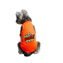 Small dog wearing a bright orange soccer-themed shirt with a GOAL graphic and football design on the back