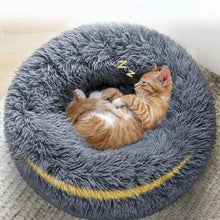 Two orange kittens sleeping together in a grey fluffy donut cat bed with a soft shaggy surface and raised cushioned sides