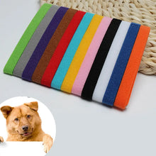 12-Piece Newborn Identification Collars for Puppies and Kittens, product photo 8 of 8