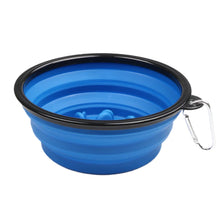 1L Travel Food Bowl Water Container in Blue