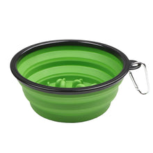 1L Travel Food Bowl Water Container in Green