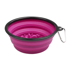 1L Travel Food Bowl Water Container in Purple