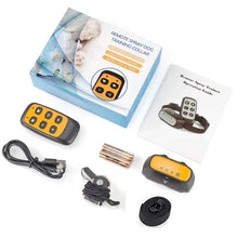 2-in-1 Citronella Dog Training Collar in SP13 with Remote