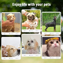 pets bathing