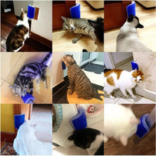 3 in 1 Scratcher Massager for Cats, product photo 15 of 15