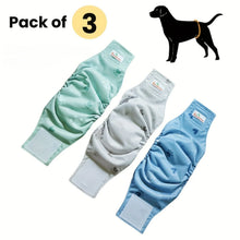 Alternate view of the 3-Pack Reusable Male Dog Cloth Diapers