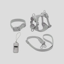 4-Piece Set Stylish Chest Harness in Grey 4 Set