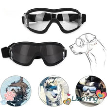 Alternate view of the Active Dog Goggles