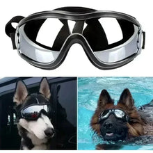 Active Dog Goggles, product photo 5 of 5