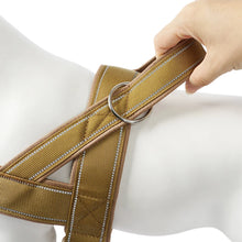 Adjustable Anti-Pull Dog Harness, product photo 6 of 10