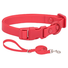 Adjustable Collar for Dogs and Cats, product photo 3 of 6