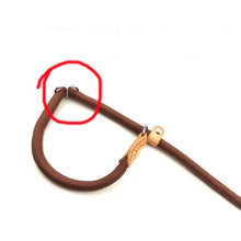 Adjustable Collars for Pets, product photo 5 of 16