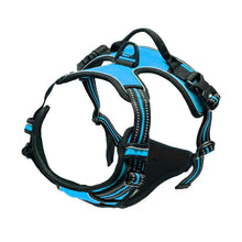 Adjustable Dog Harness Vest in Blue