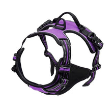 Adjustable Dog Harness Vest in Purple